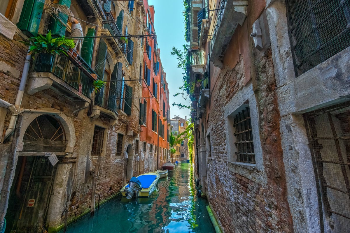 Egestas quam – in aliquet nibh